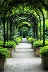 Obraz premium Lush Green Tunnel Path with Potted Plants and Arched Vines in Garden