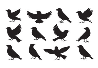 Obraz premium Diverse silhouettes of birds in flight and perched poses for artistic design elements white background