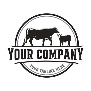 Vintage cattle logo with company name and tagline isolated on white background