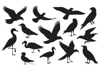 Collection of realistic bird silhouettes in flight and standing diverse species artistic representation white background