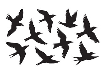 Obraz premium Flock of birds silhouettes in flight dynamic wing positions against white white background