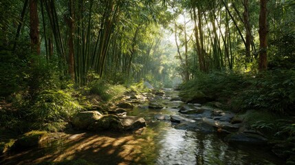 Obraz premium Sunlight streams through bamboo forest