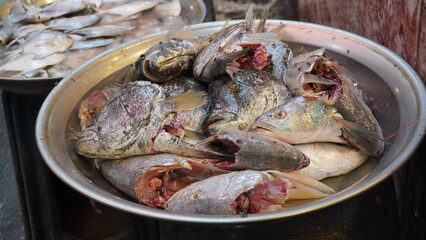 Bowl of gutted fish with heads, red flesh visible