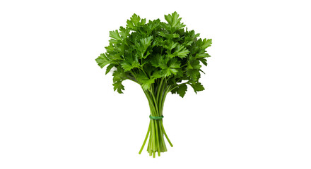 bunch of parsley isolated on white