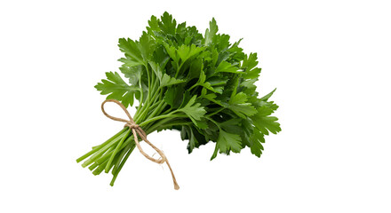 Fresh Green Parsley Tied with Twine on a Natural Surface