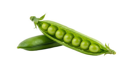 Close up of Fresh Green Peas in an Open Pod with Healthy Raw Vegetable