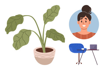 Potted plant with green leaves, woman portrait with bun hairstyle, workspace setup with chair, table, and laptop. Ideal for work-life balance, remote work, home decor, productivity well-being