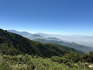 beautiful misty landscape photo of mountains and forest beneath a bright blue summer sky - San Bernardino, California, USA