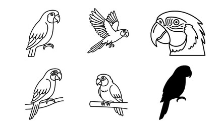 A collection of six simple line art illustrations of macaw parrots in various poses and styles