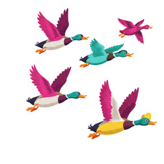 Obraz premium A vibrant illustration showcases a flock of colorful ducks in mid-flight against a stark black background, emphasizing their dynamic movement and diverse plumage.