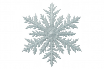 Intricate snowflake with detailed ice crystals creating beautiful winter pattern on transparent background, perfect for festive projects