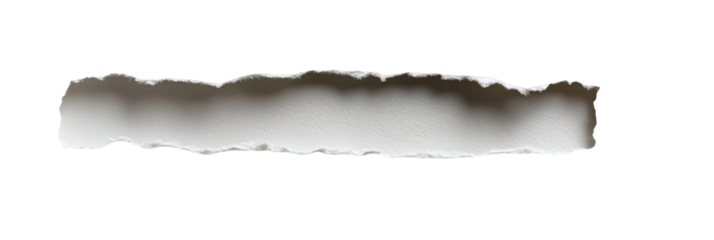 Ripped paper strip (1)