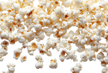 Close-up of popcorn kernels (1)