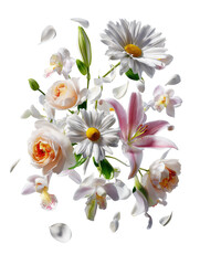 Fototapeta premium Daisies, Roses, Lilies, and Orchids Floating in Mid-Air with Soft Lighting on Transparent Background