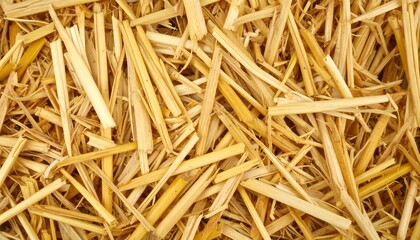 Straw Texture