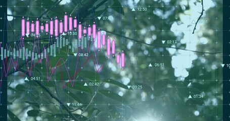 Displaying financial overlay in forest with pink candlesticks, magenta line, triangular markers