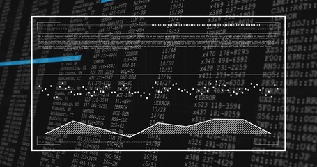 Displaying white frame showing dotted and hatched charts with blue line, code listings on console