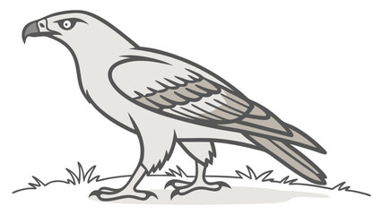 Fototapeta premium Cartoon illustration of a bird of prey standing in grass.