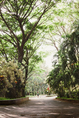 a moment of peaceful recreation and a love for nature.