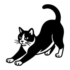 Tuxedo Cat Stretching