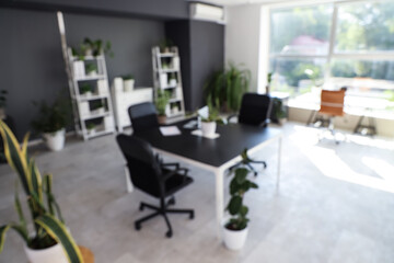 Blurred view of modern office with desks, shelf units and green plants