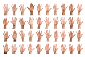 Diverse hands, various poses, many different skin tones.  Rows and columns of human hands, displayed in varied positions, suggesting a range of gestures or actions. 