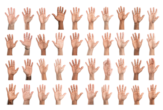Diverse hands, various poses, many different skin tones.  Rows and columns of human hands, displayed in varied positions, suggesting a range of gestures or actions. 