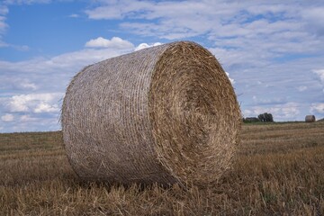 Large straw bales in a golden harvested field with blue sky and clouds. Rural farming scene with...