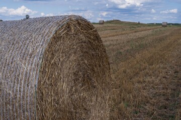 Large straw bales in a golden harvested field with blue sky and clouds. Rural farming scene with...
