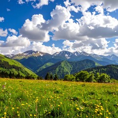 Sunny meadow with mountain backdrop