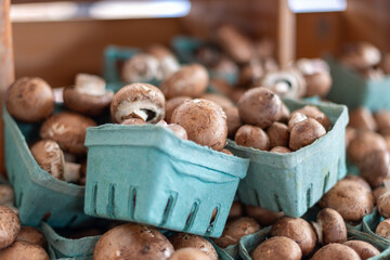 Button mushrooms or cremini, or baby bella mushrooms are piled up in green cardboard containers on a white shelf of a grocery store. The brown cultivated organic raw fungi vegetable is freshly picked.