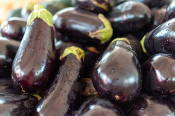 Eggplant, long, tender tropical vegetable with a glossy skin. The spongy edible fruit is a berry. Large, purple teardrop-shaped fruit piled in a bin for sale at a farmer'