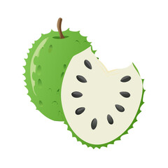 Fresh Tropical Sirsak Fruit Vector Illustration – Exotic Green Healthy Food Clipart