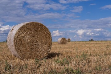 Large straw bales in a golden harvested field with blue sky and clouds. Rural farming scene with...