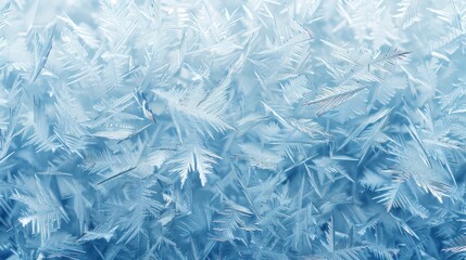 Delicate Ice Crystals on a Frosted Window