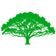 Vibrant green majestic oak tree silhouette symbolizing nature growth and life