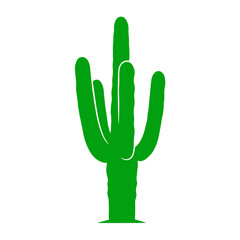Obraz premium Vibrant green saguaro cactus stands tall in arid desert landscape