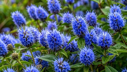 Vivid blue flowers in a lush garden