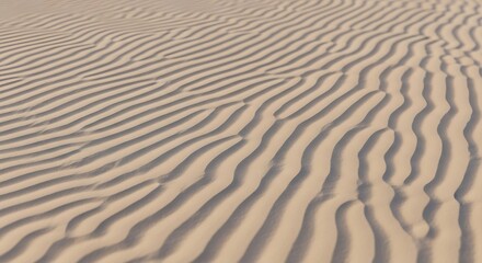 Fototapeta premium Serene sandscape showcasing rippled dunes under gentle lighting conditions