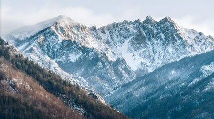 A breathtaking vista of snow-capped mountain peaks, with forests draped in winter's embrace, paints a serene and majestic landscape.