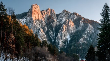 Majestic mountain peaks, dusted with snow, are bathed in the warm light of a winter sunrise, showcasing a rugged landscape framed by a dense forest.