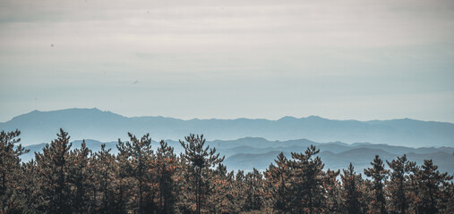 Capturing the Last Whispers of Autumn: Inner Mongolia's Daqing Mountain Series