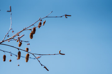 Capturing the Last Whispers of Autumn: Inner Mongolia's Daqing Mountain Series