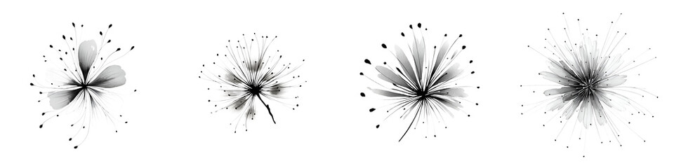 Obraz premium Dandelion Seeds - Black and White Abstract Art for Modern Minimalist Design