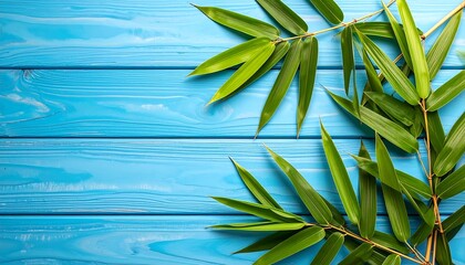 Fresh bamboo leaves on blue wood