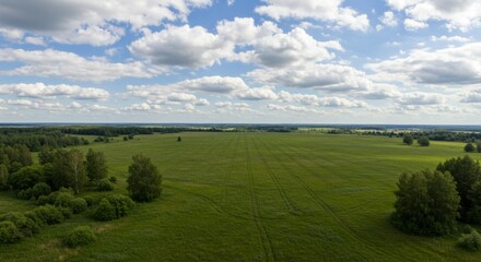 Obraz premium Vast Green Meadow Under a Blue Sky with Puffy White Clouds