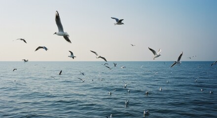 Seagulls in Flight Over a Calm Ocean
