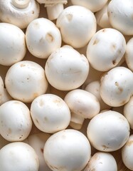 Fresh button mushrooms close-up