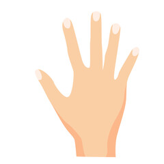 Human hand with extended fingers. Great for anatomy illustrations, gesture icons, or medical and educational materials.