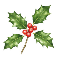 Watercolor painting of a sprig of holly with green leaves and red berries, traditional Christmas plant isolated on white